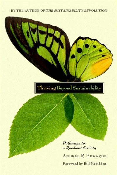 Thriving Beyond Sustainability (EPUB)