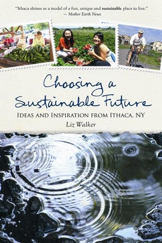 Choosing a Sustainable Future (EPUB)