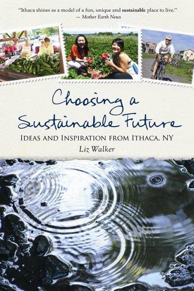 Choosing a Sustainable Future (PDF)