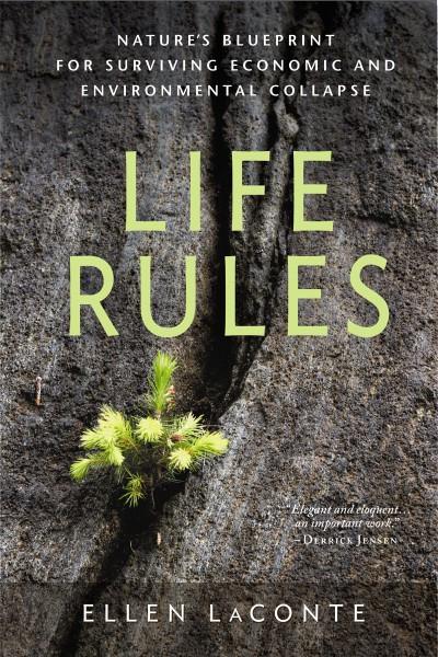 Life Rules (EPUB)