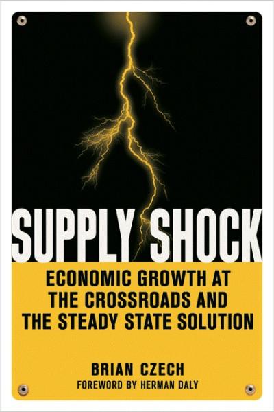 Supply Shock (EPUB)