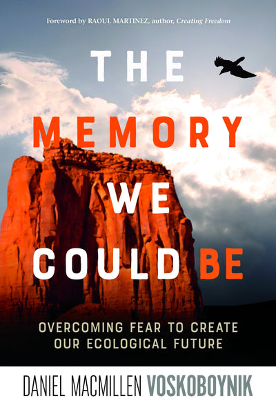 The Memory We Could Be (EPUB)