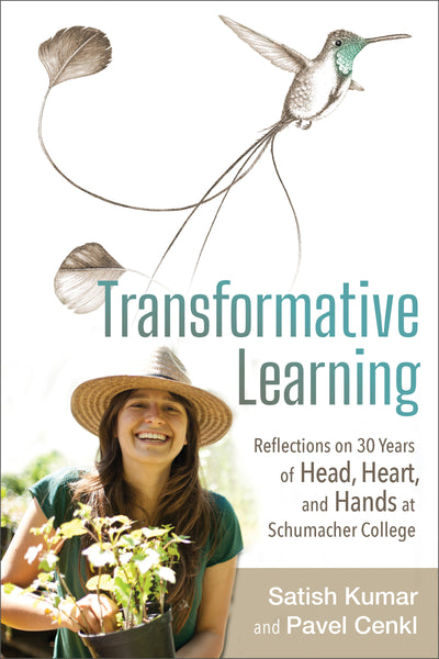Transformative Learning (EPUB)